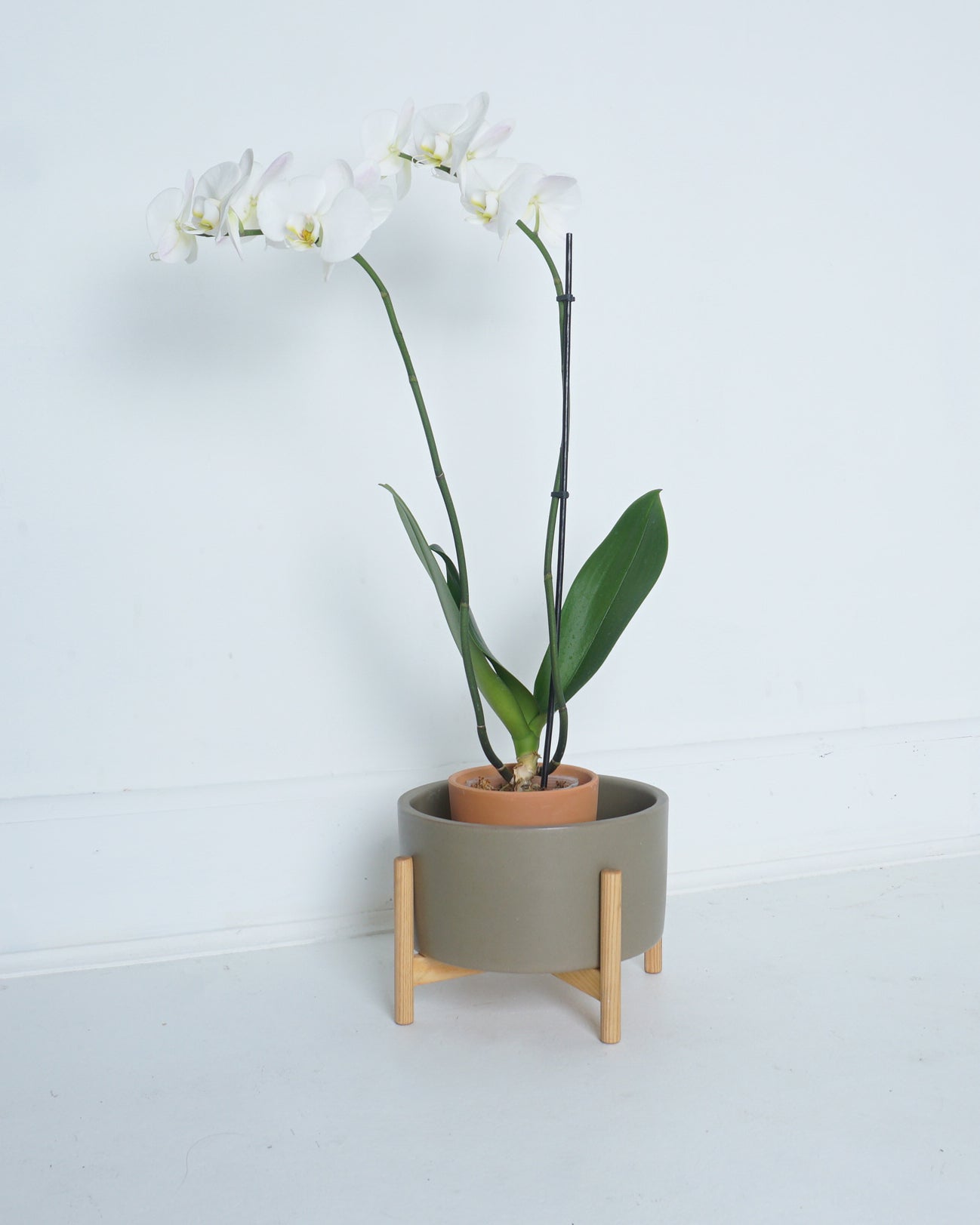 Modernica Case-Study Ceramics Cylinder Charcoal Grey Planter
